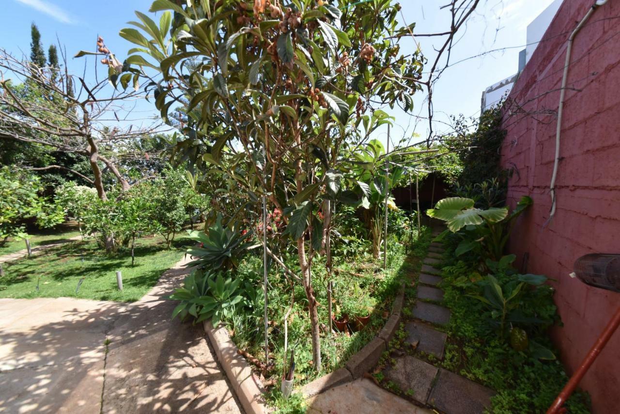 Casa El Tonelero Con Jardin Y Piscina Privada Villa Gáldar Kültér fotó